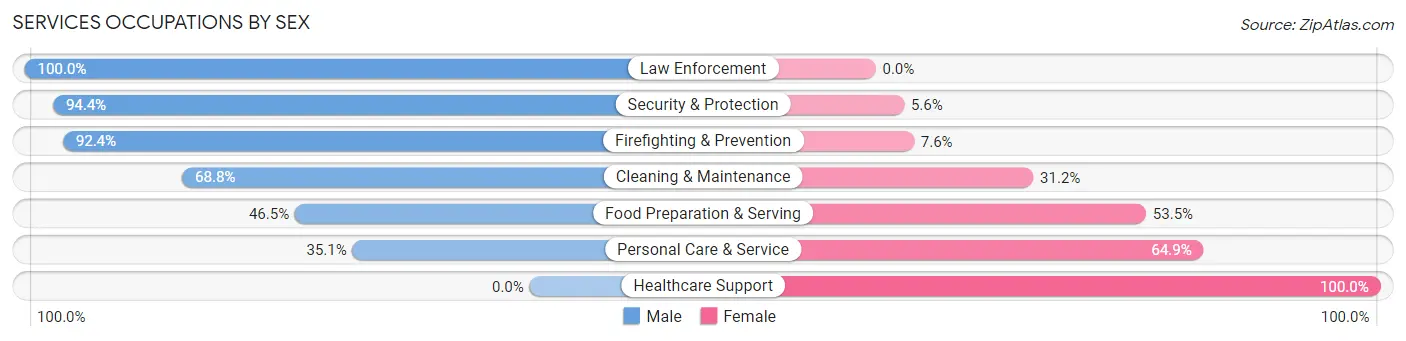 Services Occupations by Sex in Zip Code 33469