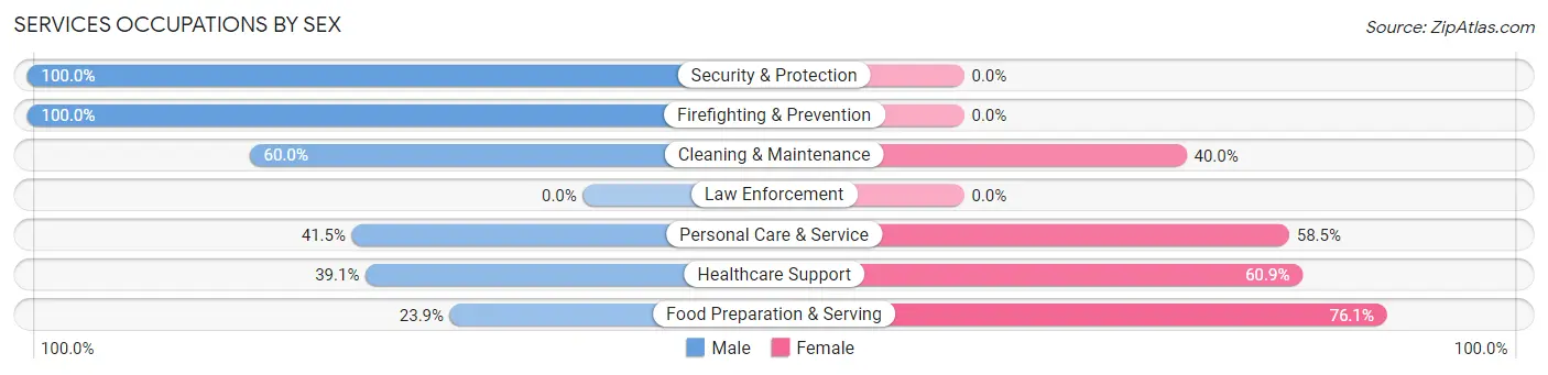 Services Occupations by Sex in Zip Code 33477