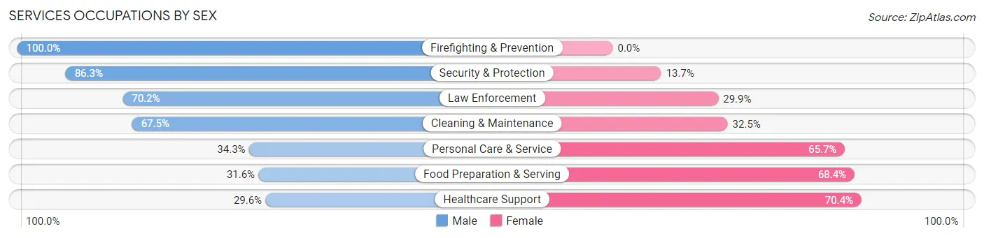 Services Occupations by Sex in Zip Code 33513