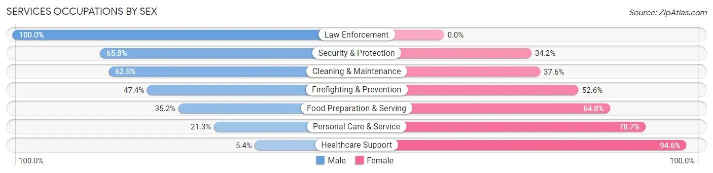 Services Occupations by Sex in Zip Code 33525