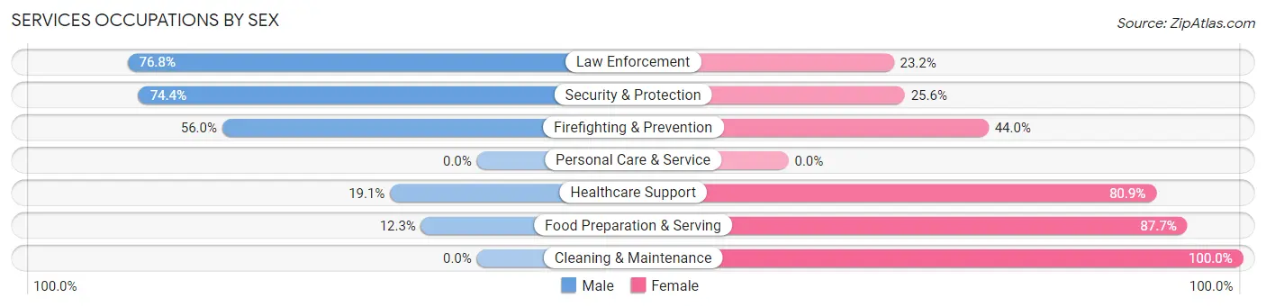 Services Occupations by Sex in Zip Code 33538