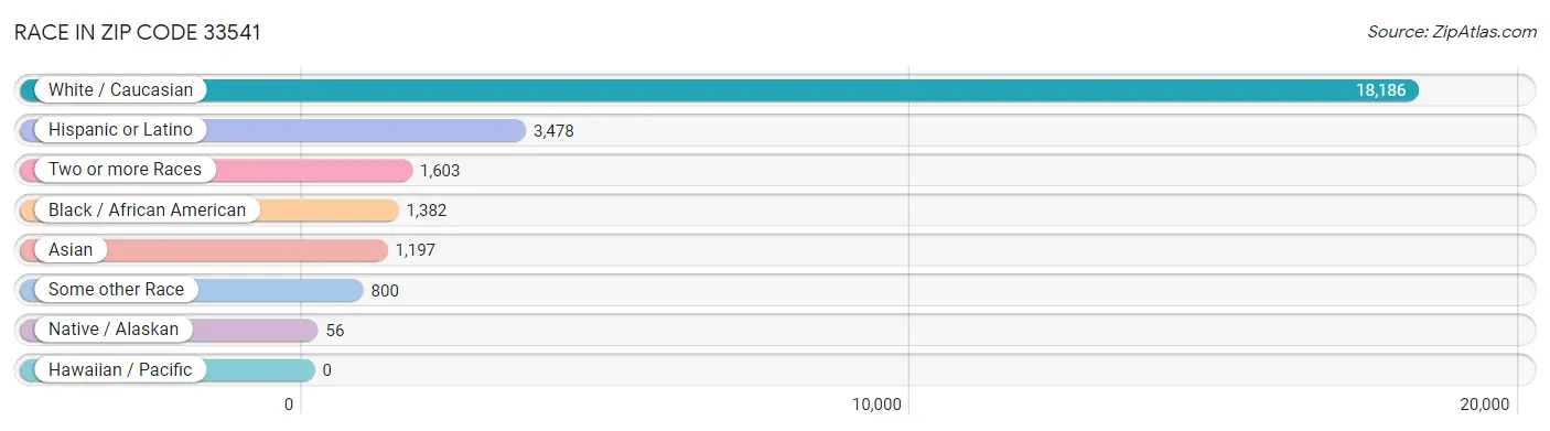 Race in Zip Code 33541