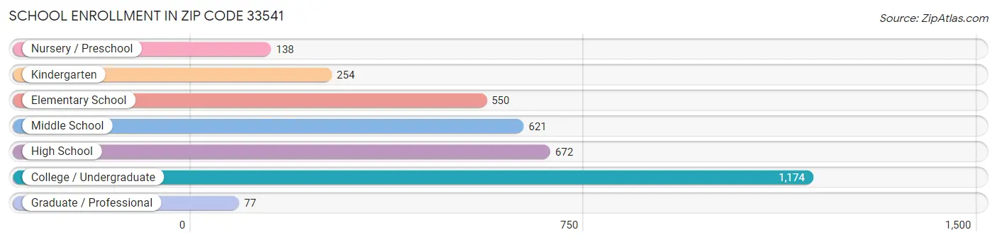 School Enrollment in Zip Code 33541