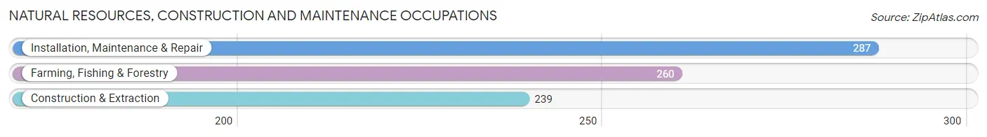 Natural Resources, Construction and Maintenance Occupations in Zip Code 33547