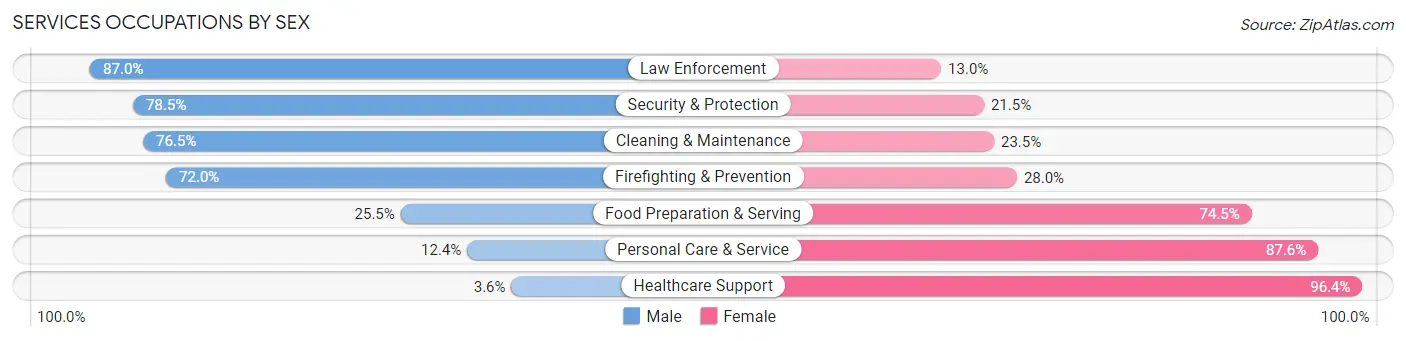 Services Occupations by Sex in Zip Code 33547