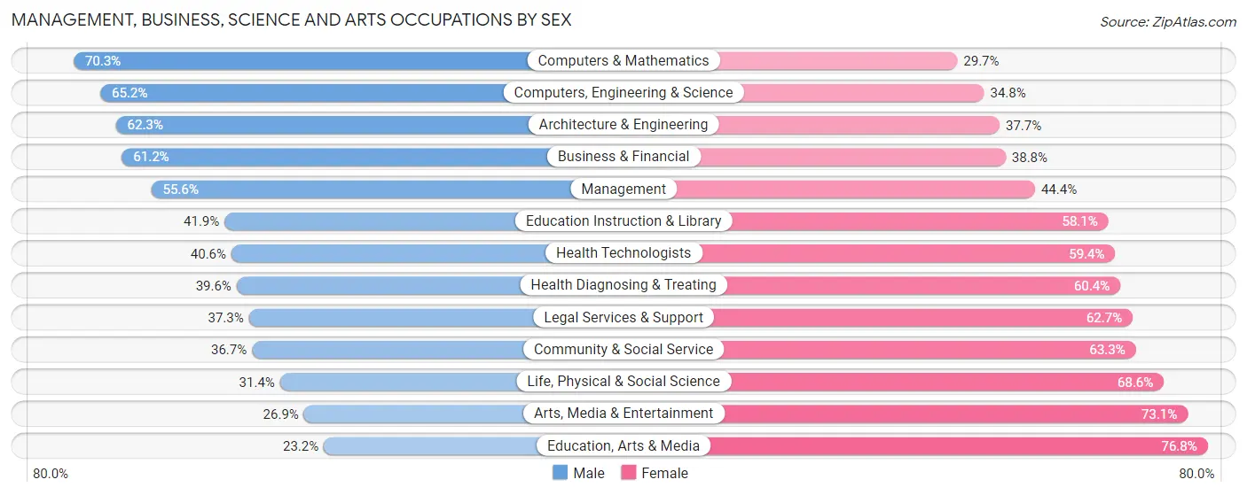 Management, Business, Science and Arts Occupations by Sex in Zip Code 33549