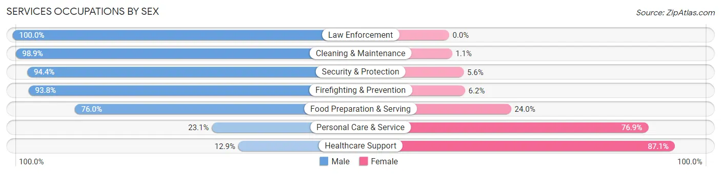 Services Occupations by Sex in Zip Code 33549