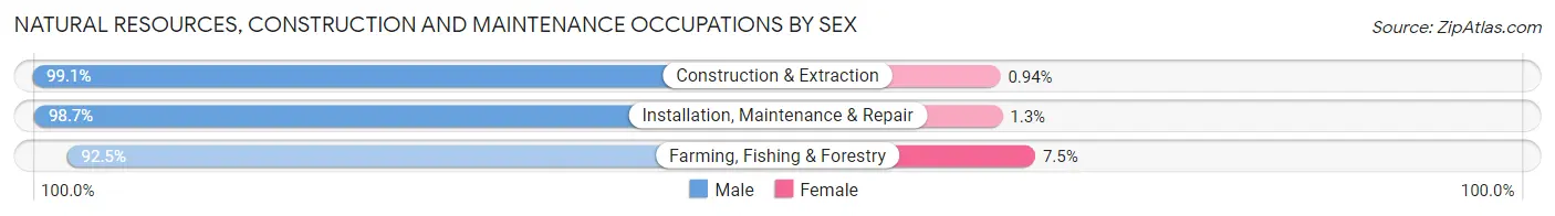 Natural Resources, Construction and Maintenance Occupations by Sex in Zip Code 33565