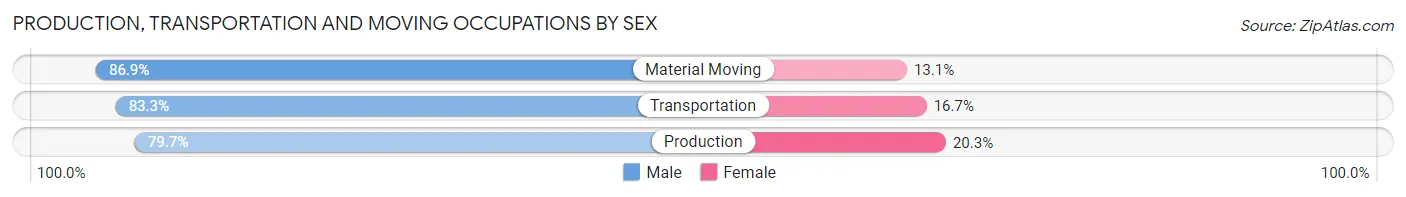 Production, Transportation and Moving Occupations by Sex in Zip Code 33565
