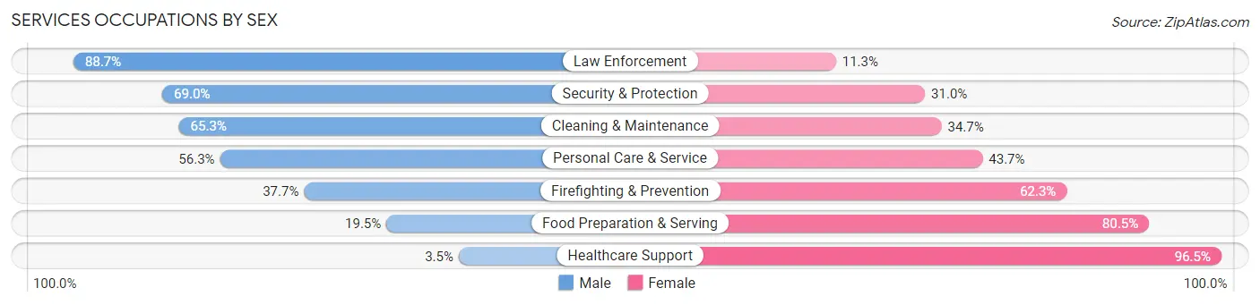 Services Occupations by Sex in Zip Code 33565