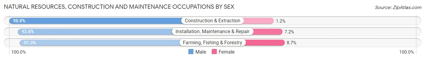 Natural Resources, Construction and Maintenance Occupations by Sex in Zip Code 33566