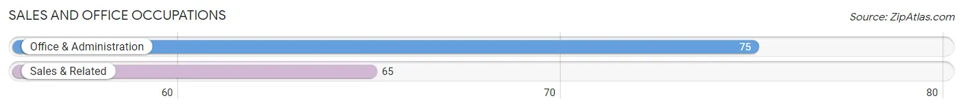 Sales and Office Occupations in Zip Code 33585