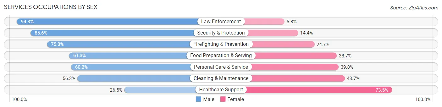 Services Occupations by Sex in Zip Code 33602