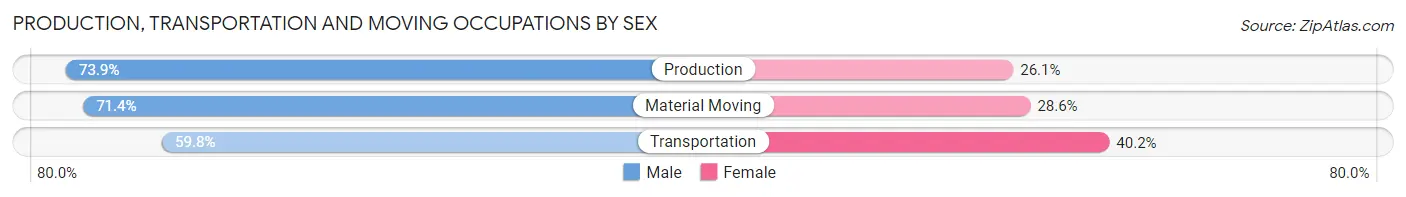 Production, Transportation and Moving Occupations by Sex in Zip Code 33604