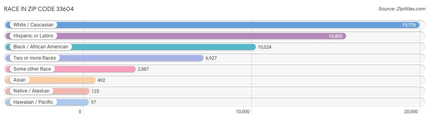 Race in Zip Code 33604
