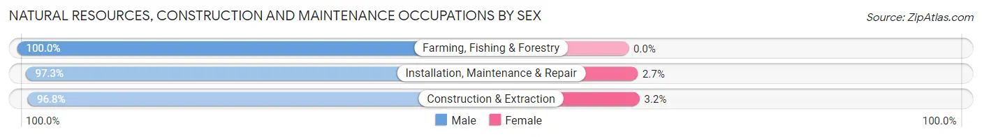 Natural Resources, Construction and Maintenance Occupations by Sex in Zip Code 33610