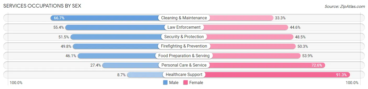 Services Occupations by Sex in Zip Code 33611