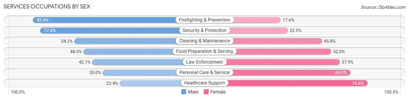 Services Occupations by Sex in Zip Code 33612