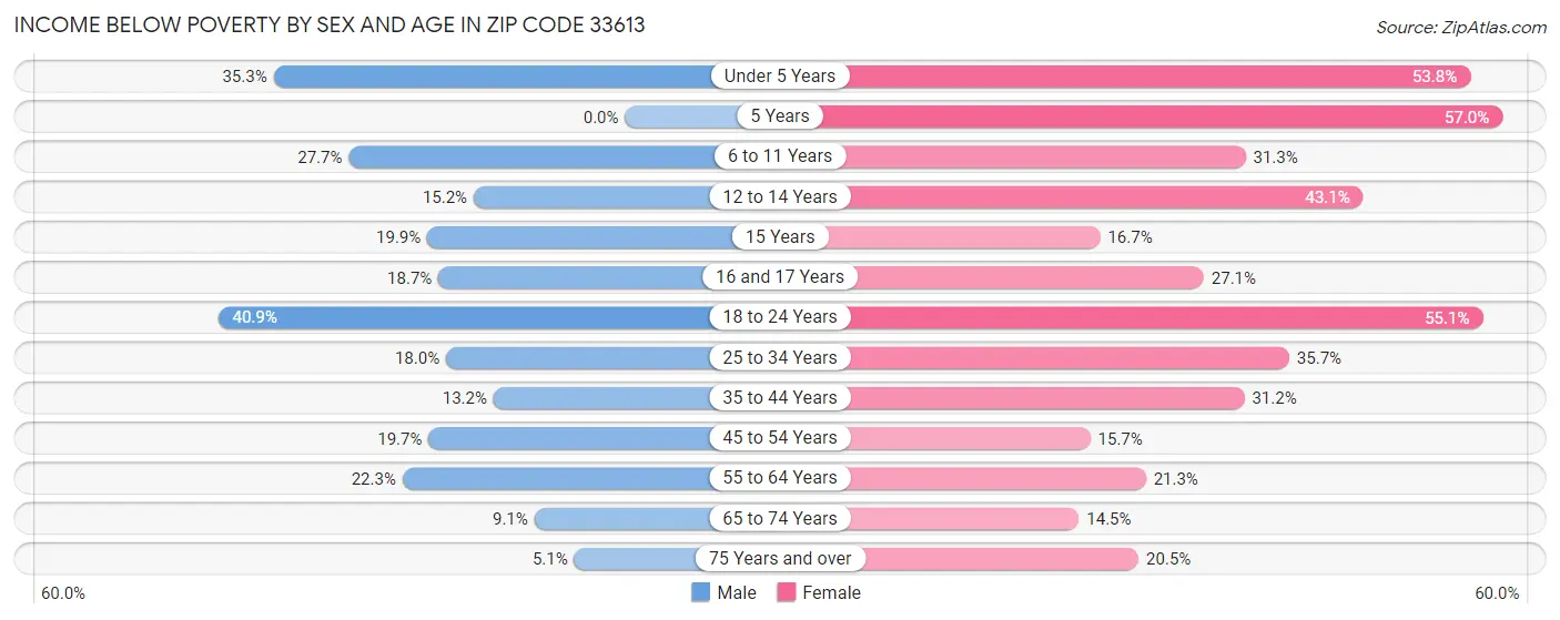 Income Below Poverty by Sex and Age in Zip Code 33613