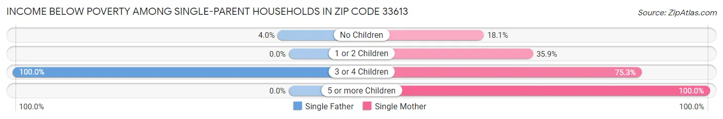 Income Below Poverty Among Single-Parent Households in Zip Code 33613