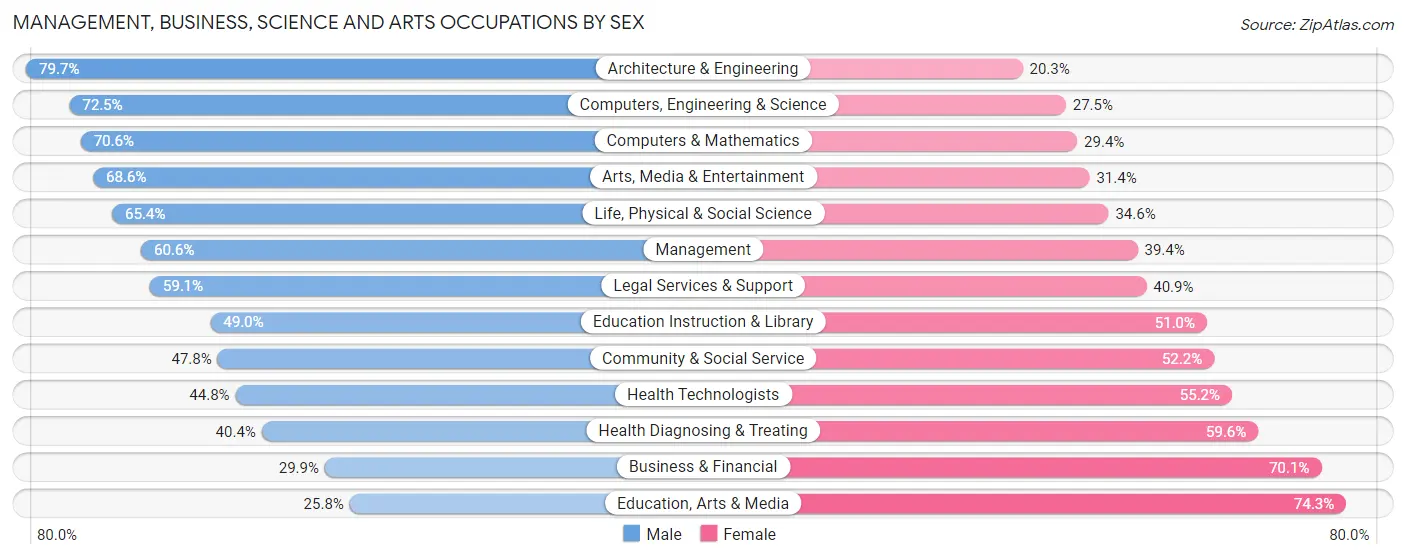 Management, Business, Science and Arts Occupations by Sex in Zip Code 33613