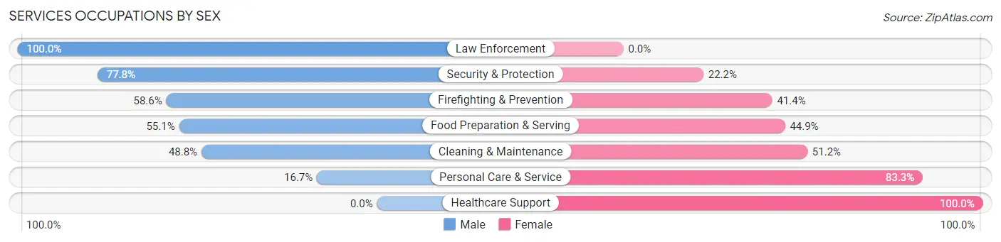 Services Occupations by Sex in Zip Code 33616