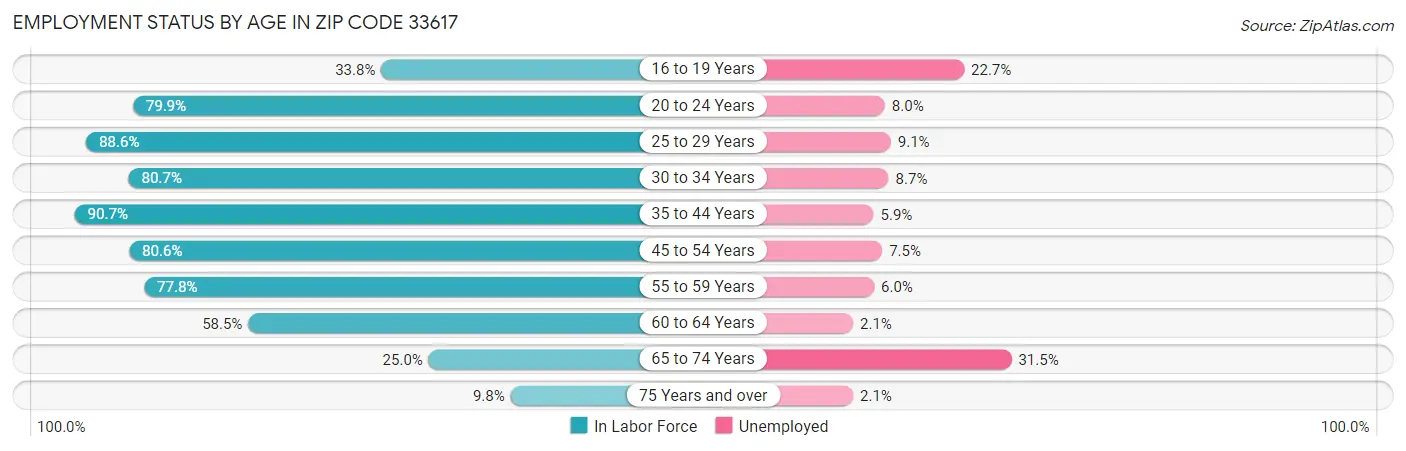 Employment Status by Age in Zip Code 33617