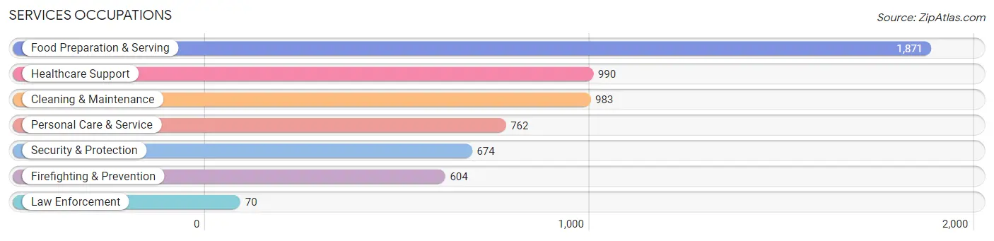 Services Occupations in Zip Code 33617