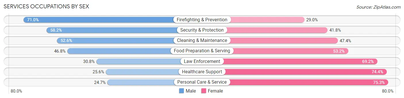 Services Occupations by Sex in Zip Code 33619
