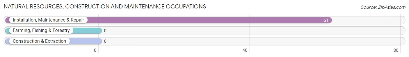 Natural Resources, Construction and Maintenance Occupations in Zip Code 33621