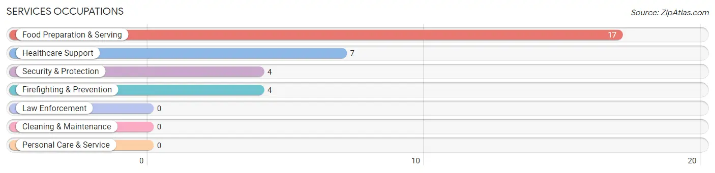 Services Occupations in Zip Code 33621