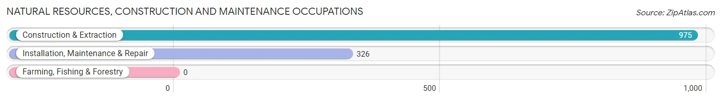 Natural Resources, Construction and Maintenance Occupations in Zip Code 33625