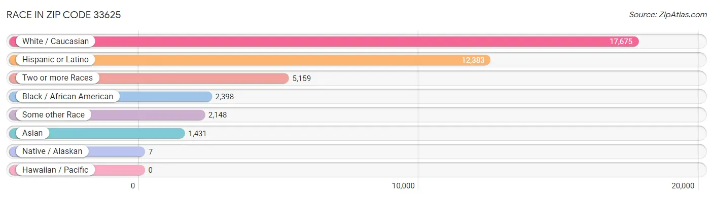 Race in Zip Code 33625