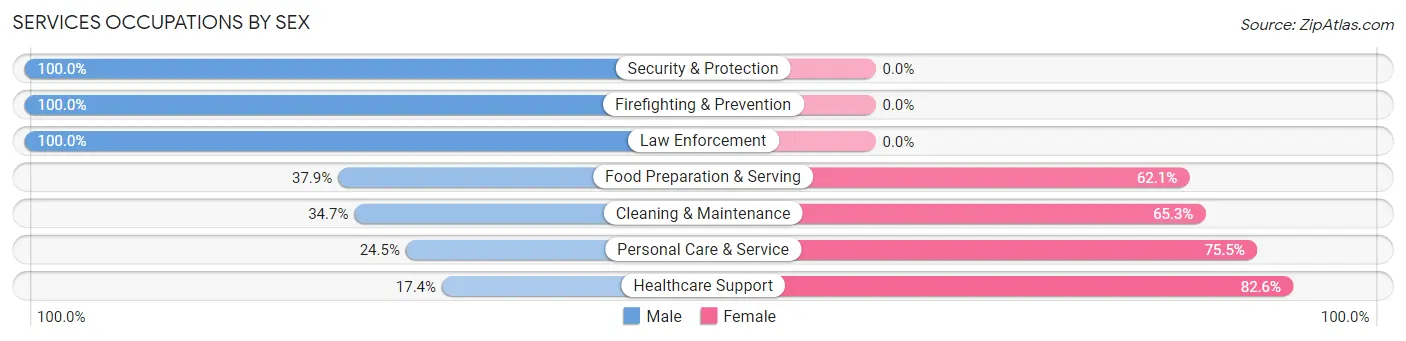 Services Occupations by Sex in Zip Code 33625