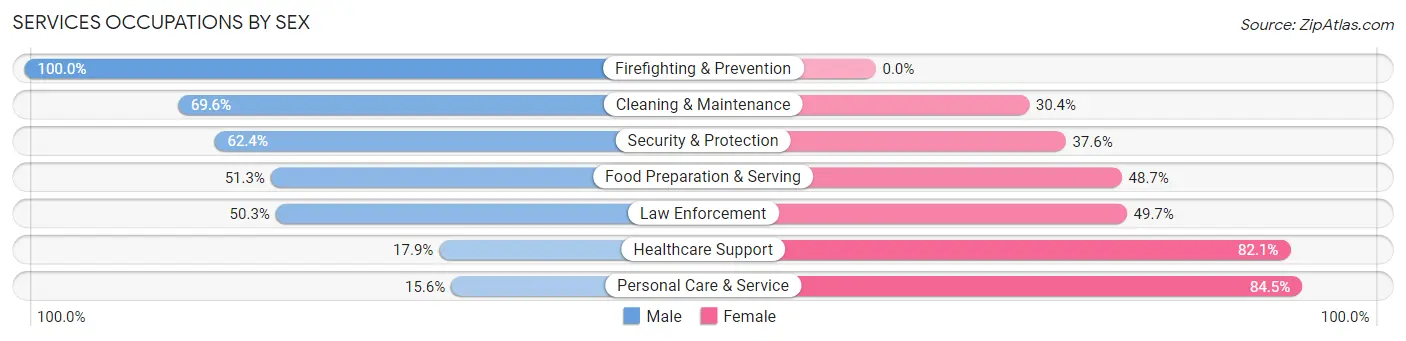 Services Occupations by Sex in Zip Code 33626