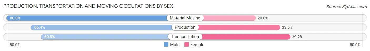 Production, Transportation and Moving Occupations by Sex in Zip Code 33629