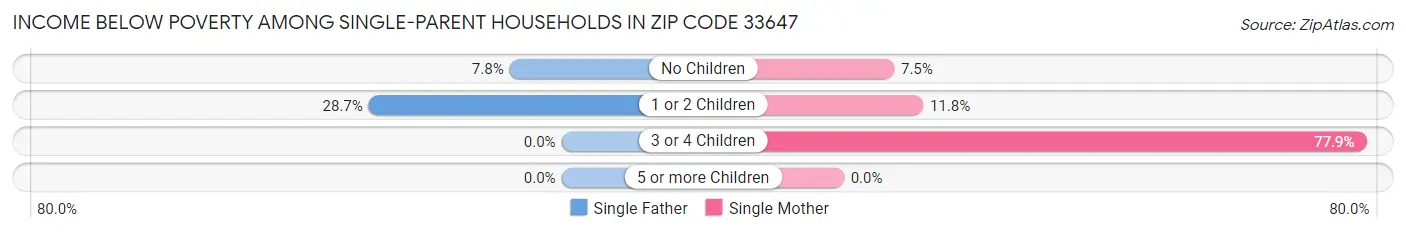 Income Below Poverty Among Single-Parent Households in Zip Code 33647