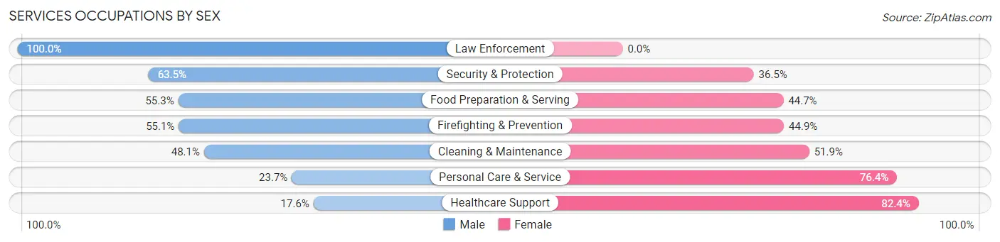 Services Occupations by Sex in Zip Code 33701