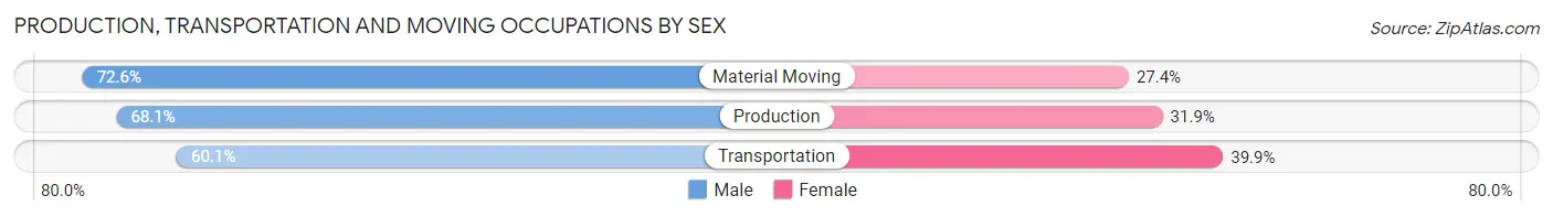 Production, Transportation and Moving Occupations by Sex in Zip Code 33703