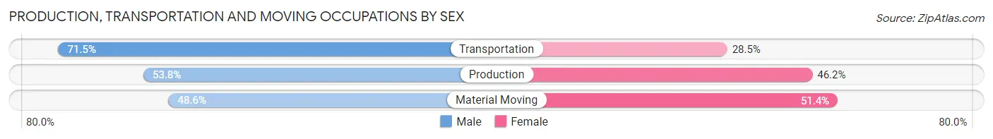 Production, Transportation and Moving Occupations by Sex in Zip Code 33704