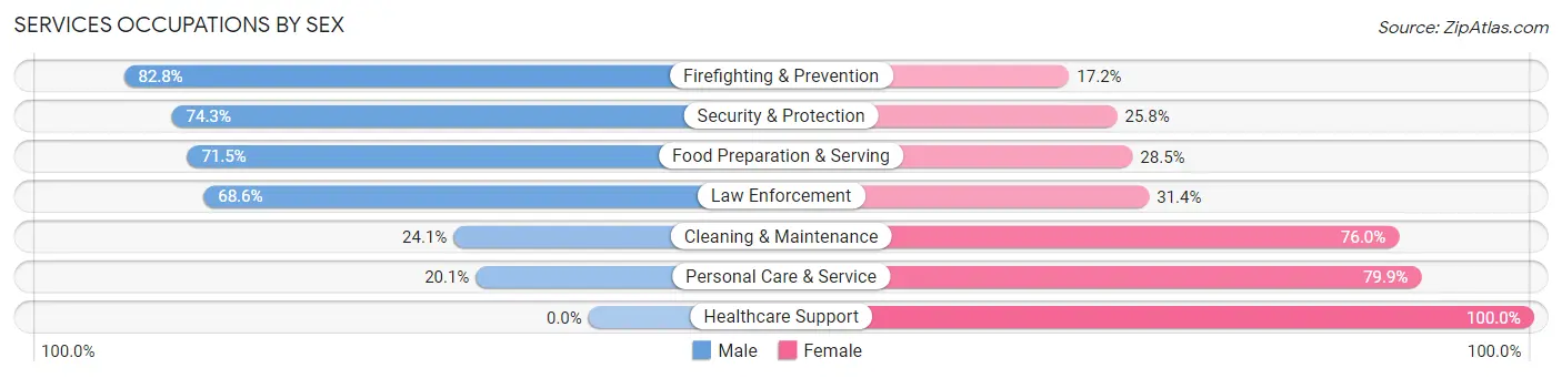 Services Occupations by Sex in Zip Code 33704