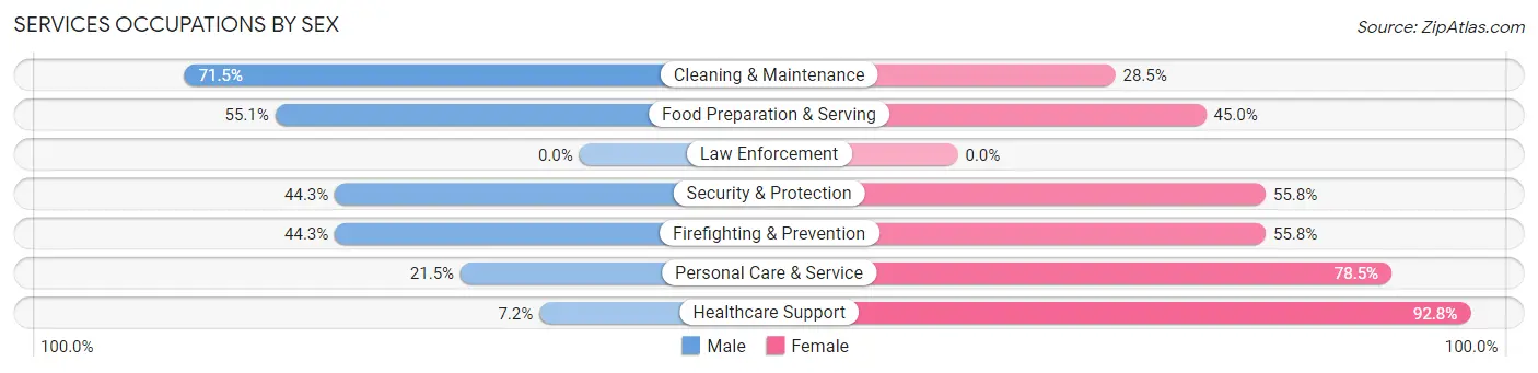 Services Occupations by Sex in Zip Code 33705