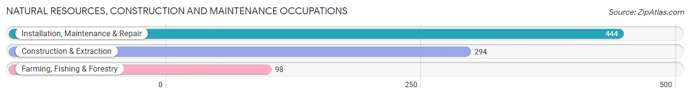 Natural Resources, Construction and Maintenance Occupations in Zip Code 33707