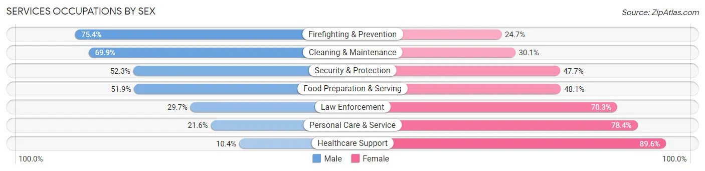 Services Occupations by Sex in Zip Code 33713