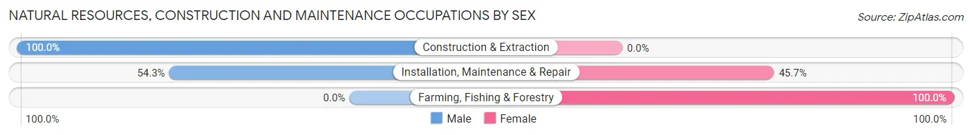 Natural Resources, Construction and Maintenance Occupations by Sex in Zip Code 33715