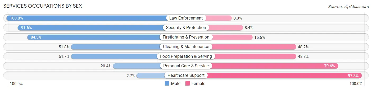 Services Occupations by Sex in Zip Code 33755
