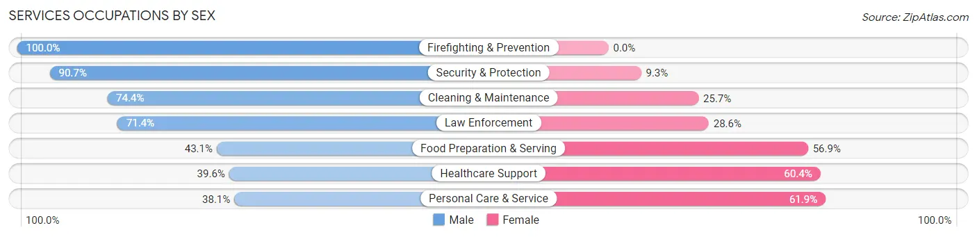 Services Occupations by Sex in Zip Code 33764