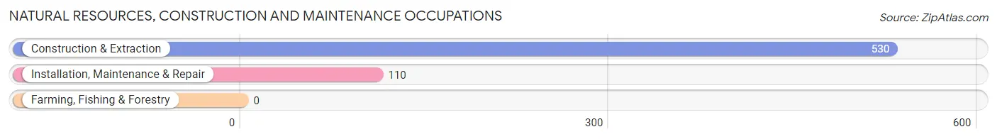 Natural Resources, Construction and Maintenance Occupations in Zip Code 33765