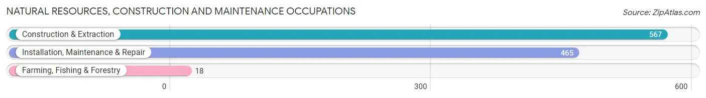 Natural Resources, Construction and Maintenance Occupations in Zip Code 33771