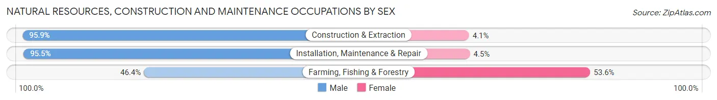 Natural Resources, Construction and Maintenance Occupations by Sex in Zip Code 33810